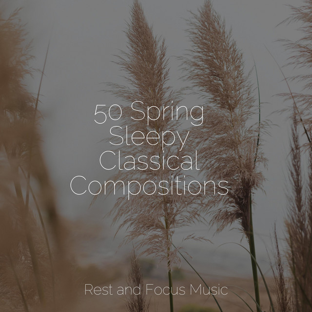 50 Spring Sleepy Classical Compositions - Album by Tranquil Music Sound ...