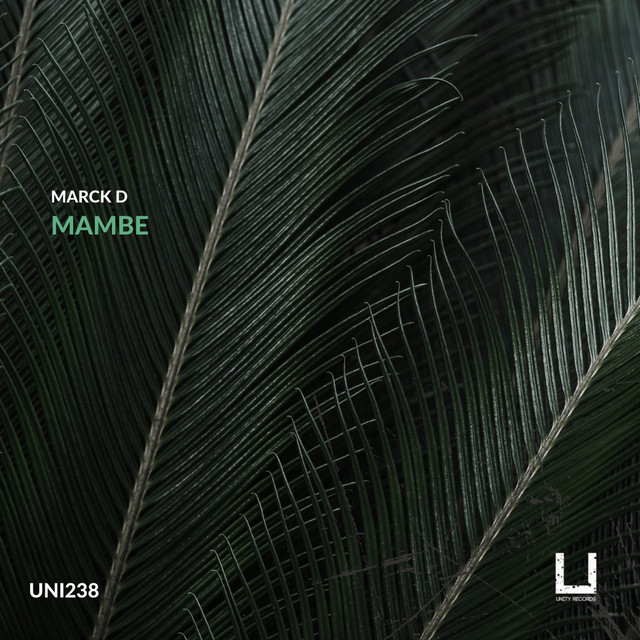 Mambe album art