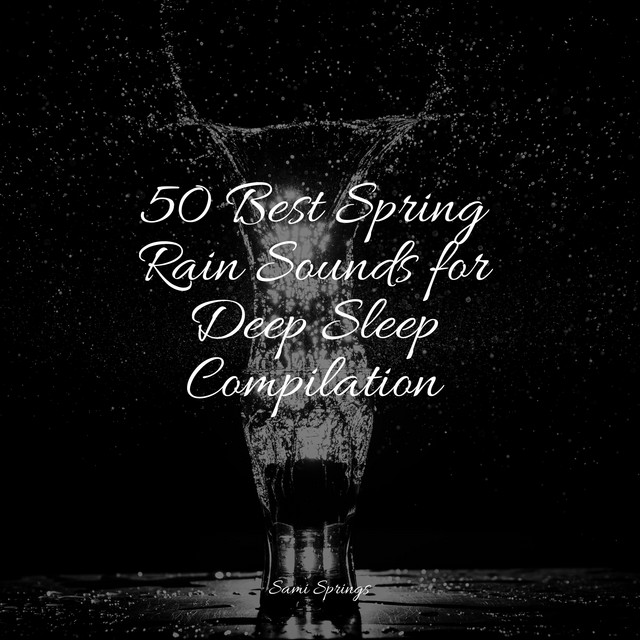 50 Best Spring Rain Sounds for Deep Sleep Compilation - Album by Musica ...