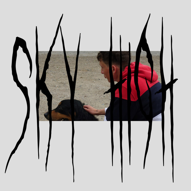 Sky High cover