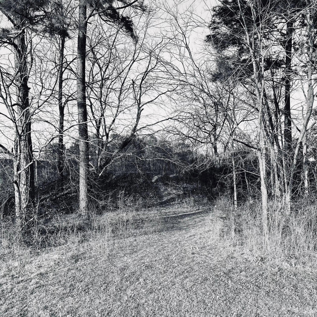 see u again (hopefully)