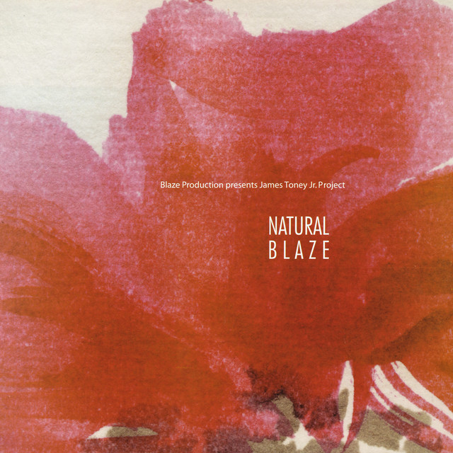 Natural Blaze cover art