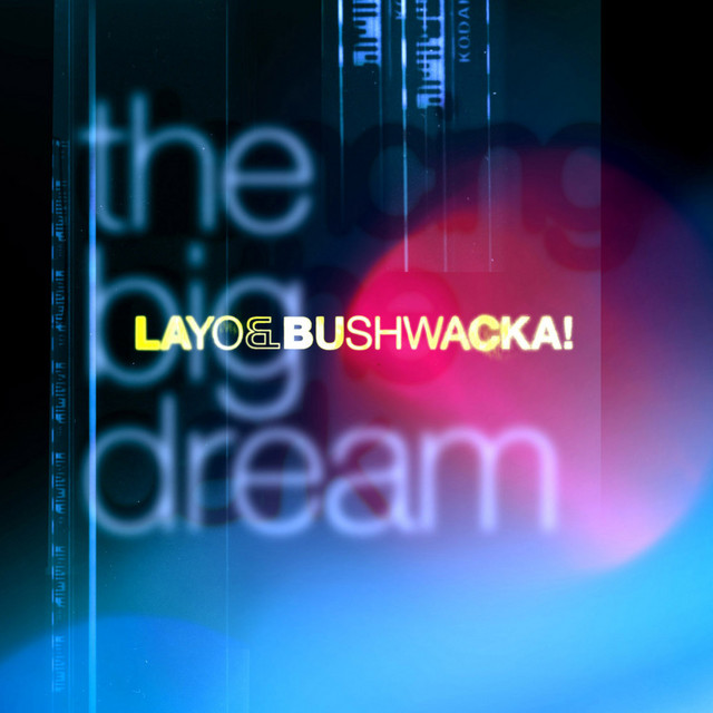 The Big Dream - Martin Buttrich's Dreamer Remix album art