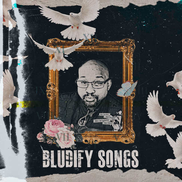 Bludify Songs cover art