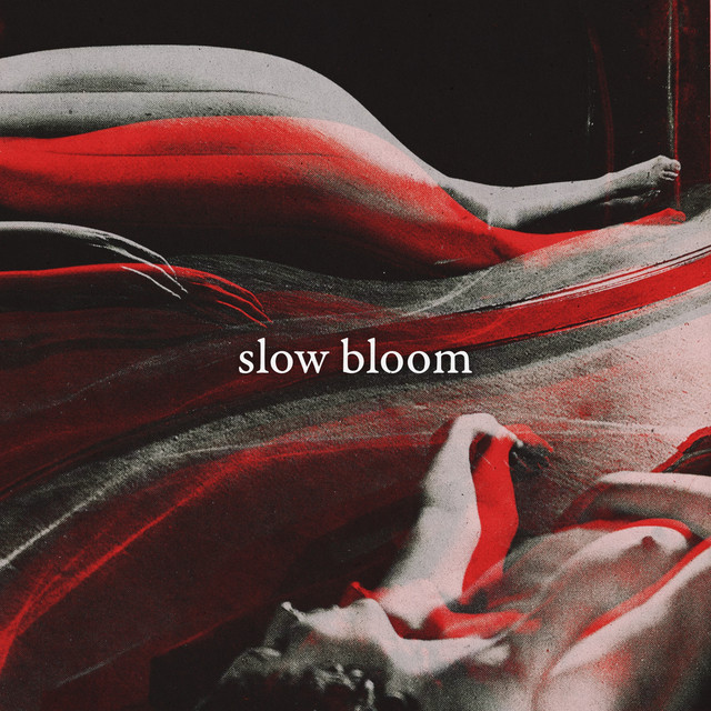 Slow Bloom cover art