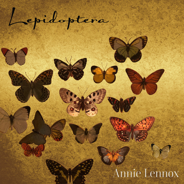 Lepidoptera cover art
