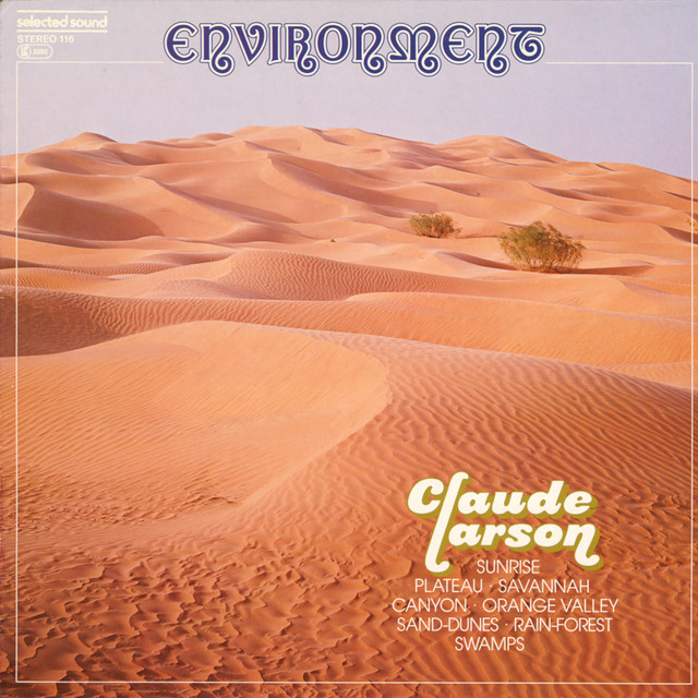 Environment cover art
