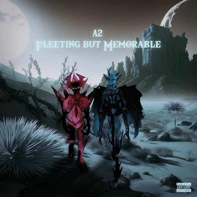 Fleeting But Memorable cover art