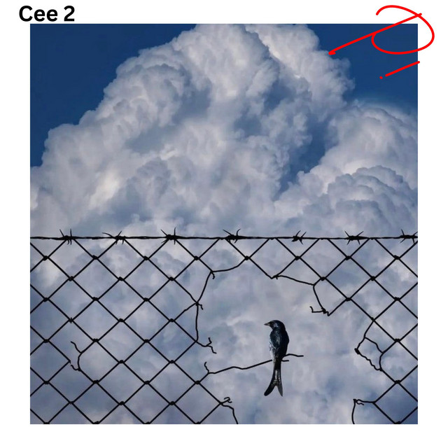 P! cover art