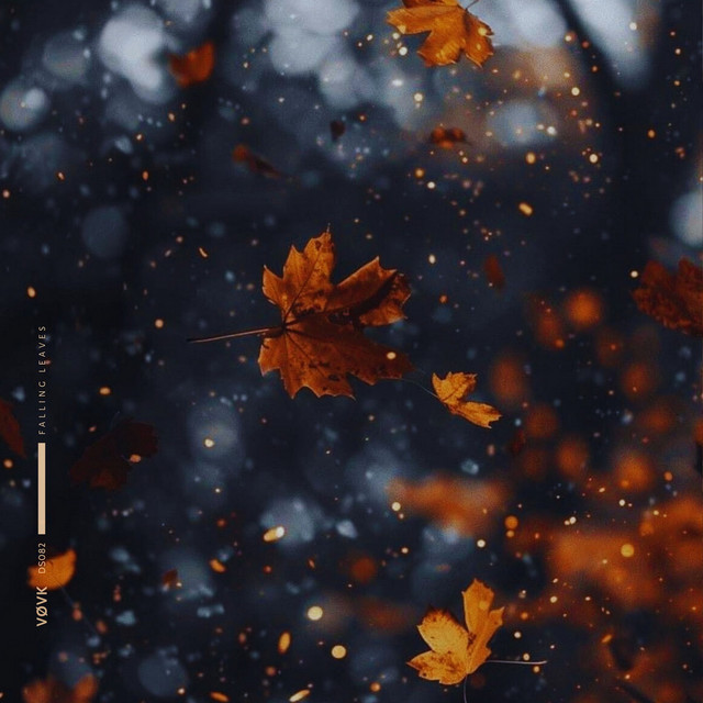 Обкладинка: falling leaves — VØVK