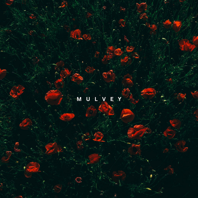 Bloom cover art