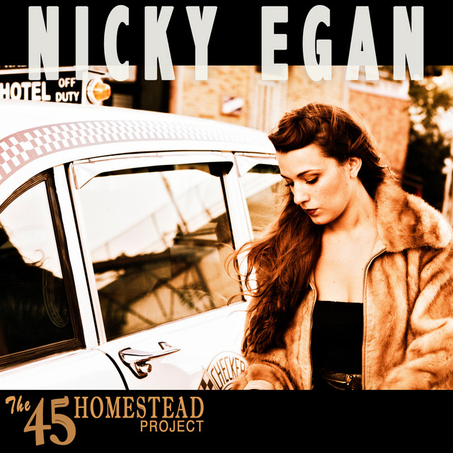 The 45 Homestead Project cover art