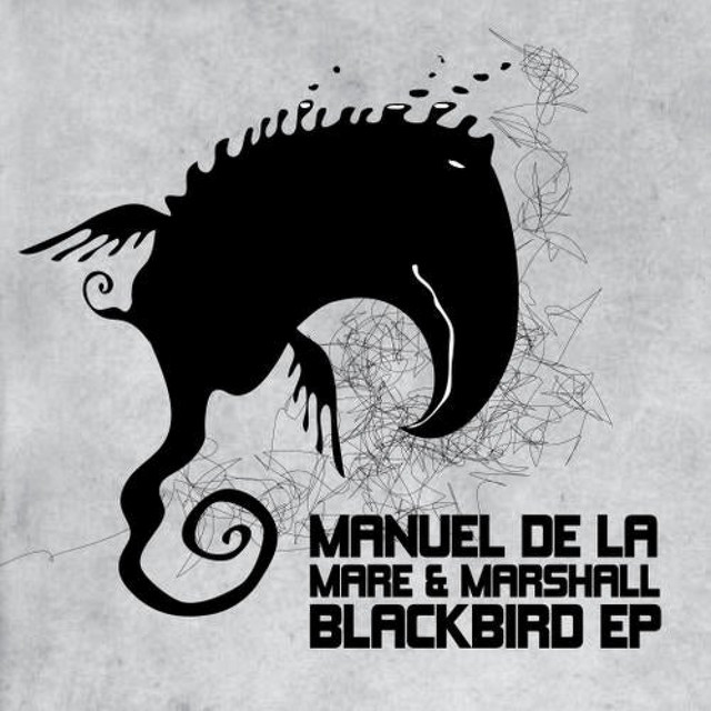 Blackbird - Original Mix