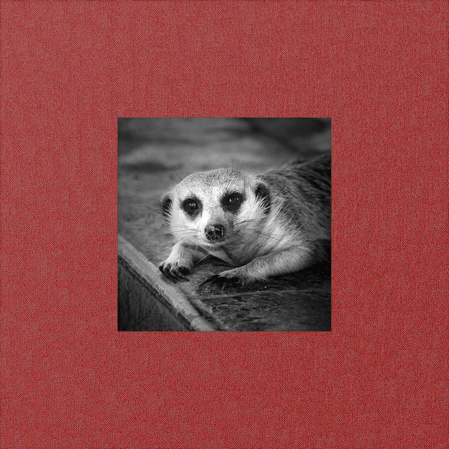 Memory Card cover art