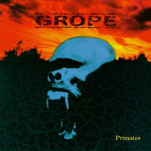 Primates cover