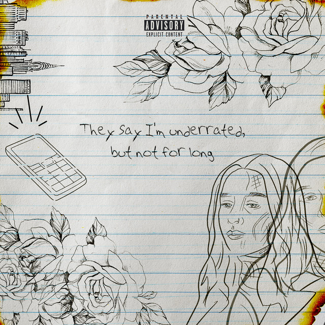 They say I'm underrated, but not for long (Collection) cover art