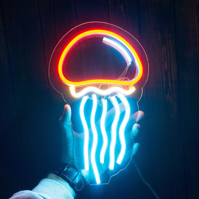 Skir cover art
