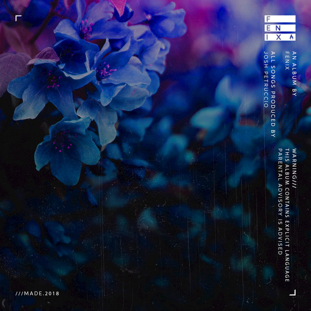 FENIX.01 cover art
