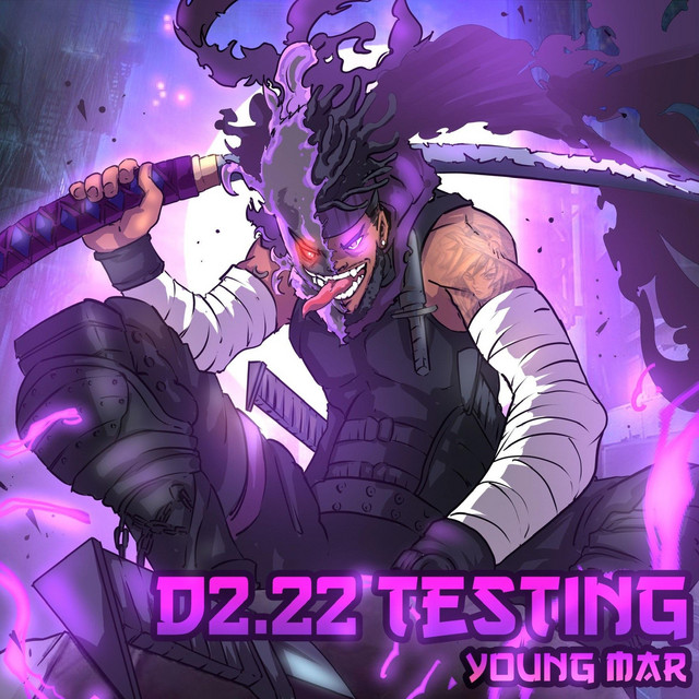 D2.22 Testing cover art