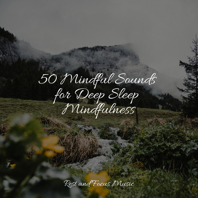 50 Mindful Sounds for Deep Sleep Mindfulness - Album by Echoes Of ...