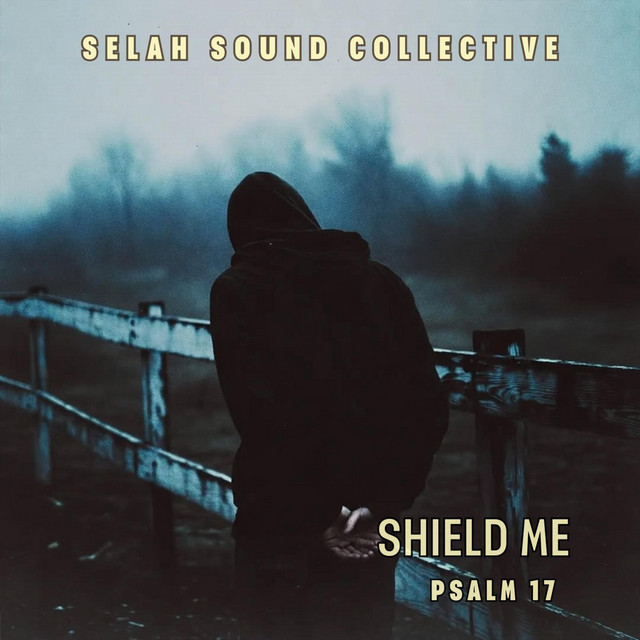 Shield Me cover