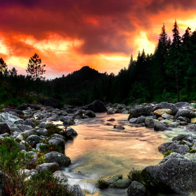 Tranquil River: Water's Serene Lull in Chorale cover art
