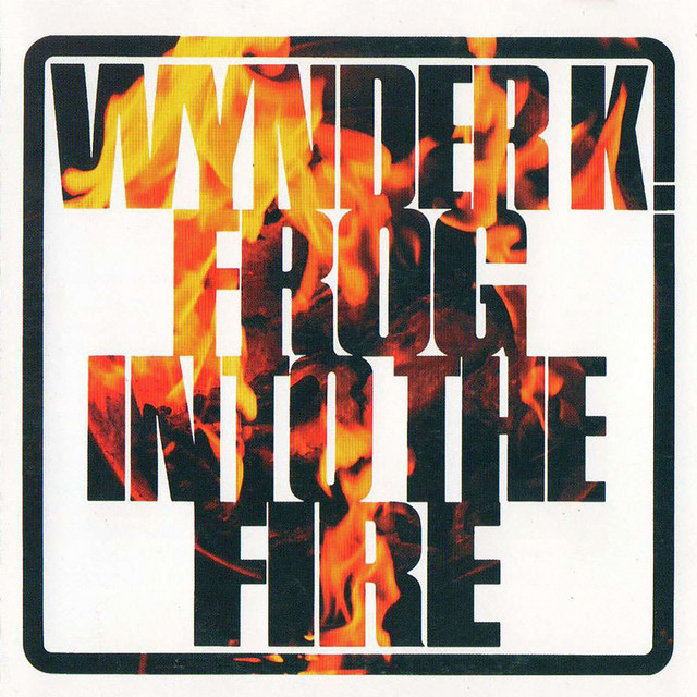 Cover du titre Into the Fire
