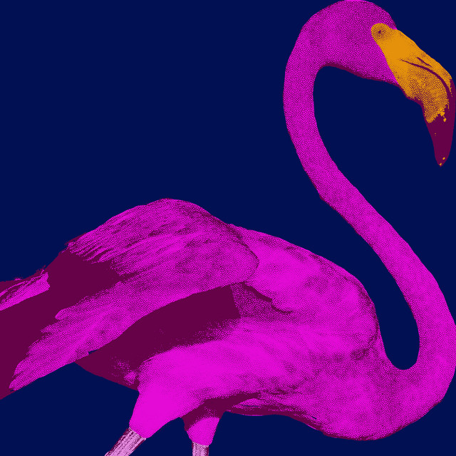 Flamingo cover art
