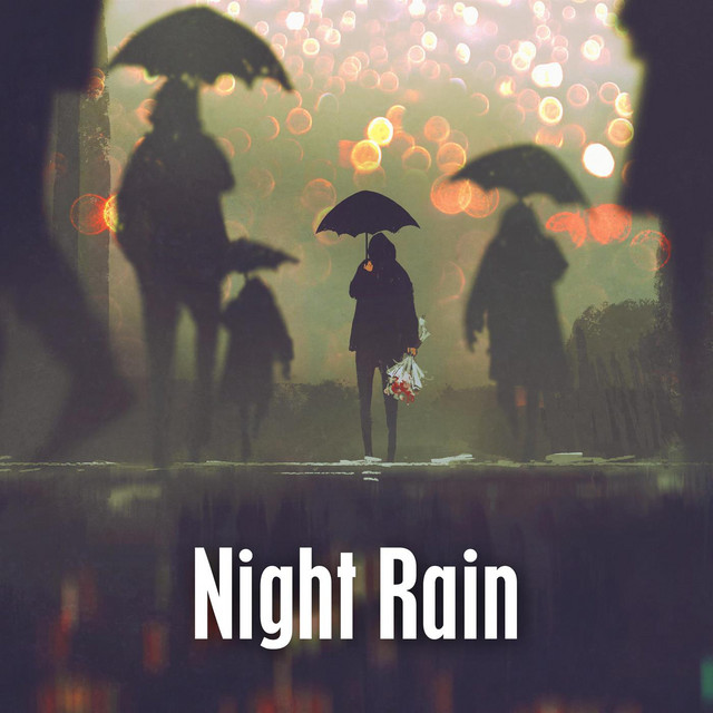 Night Rain cover art