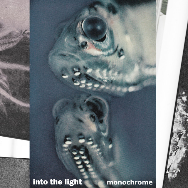 Monochrome cover art