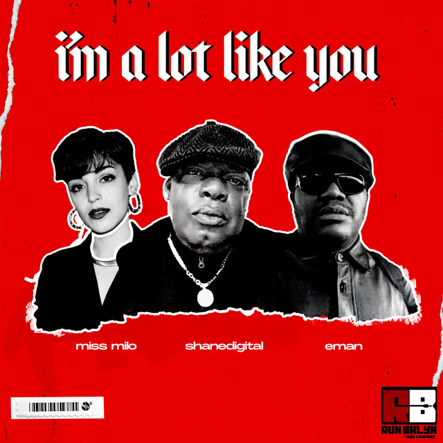 I'm A Lot Like You cover art