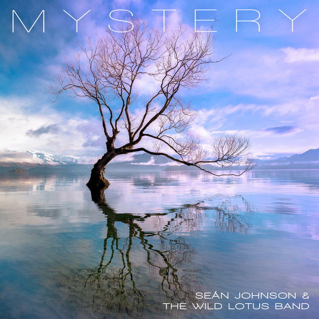 Mystery cover art
