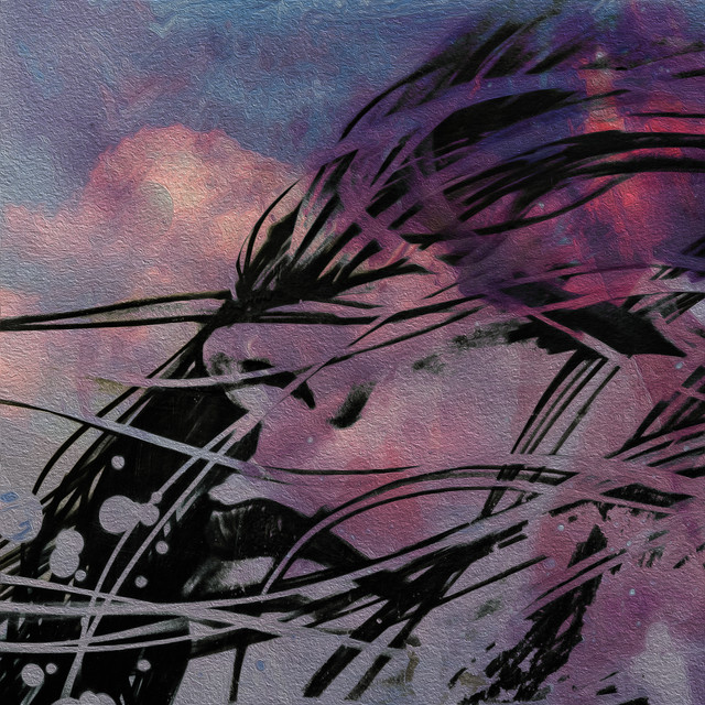 Falling Star cover art