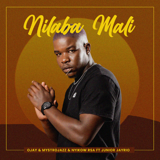 Nilaba Mali - Single by Ojay | Spotify
