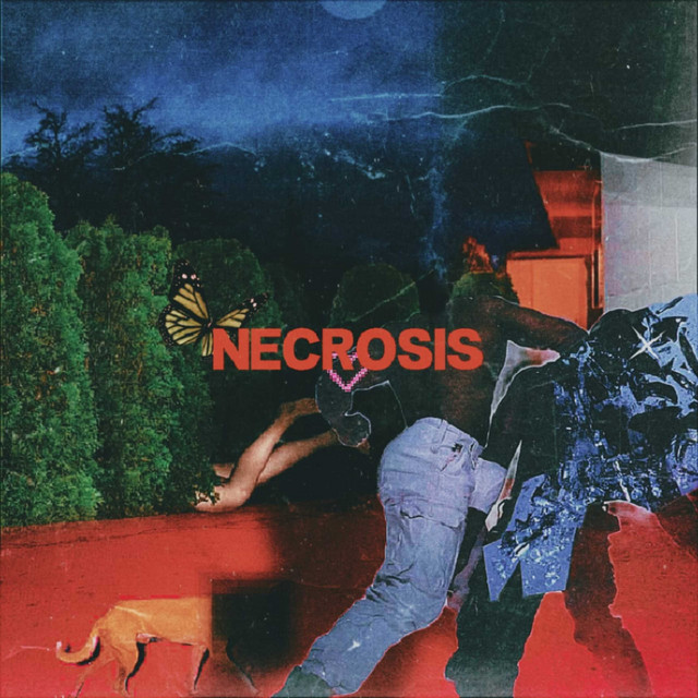 NECROSIS cover art