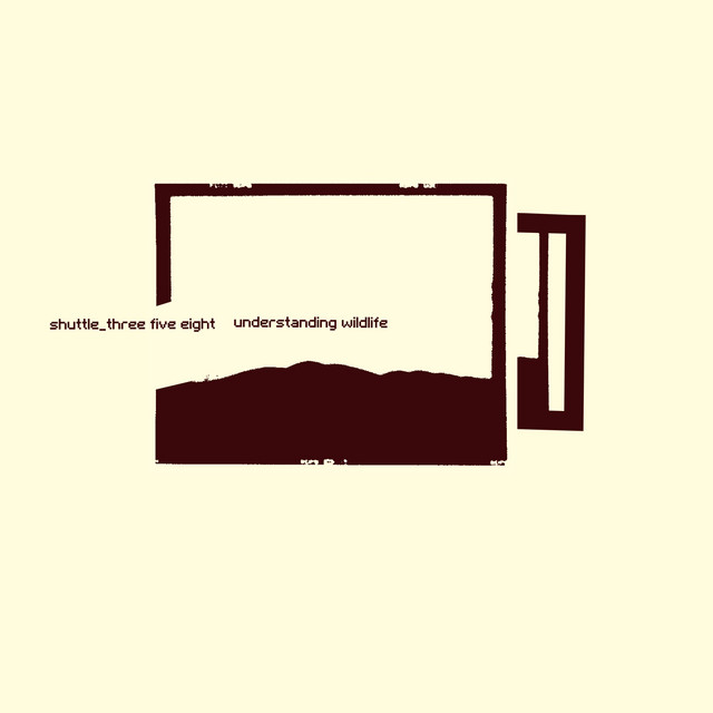 Understanding Wildlife cover art