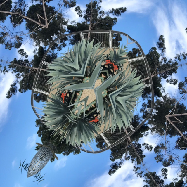 Laid in Space cover art