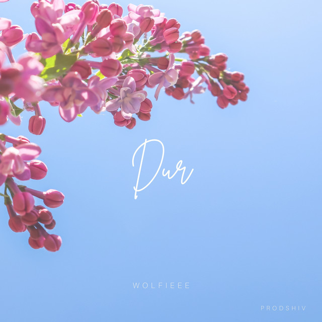 dur cover art