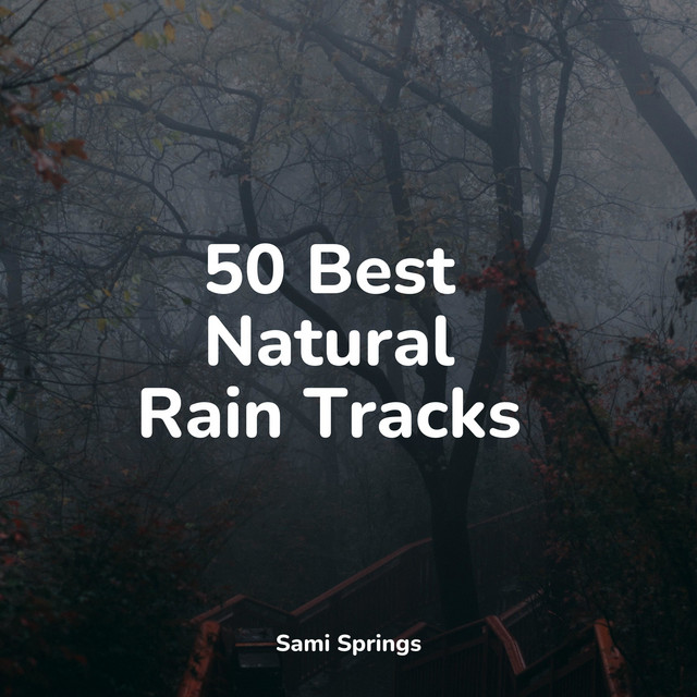 50 Best Natural Rain Tracks - Album by Sleepy Night Music | Spotify