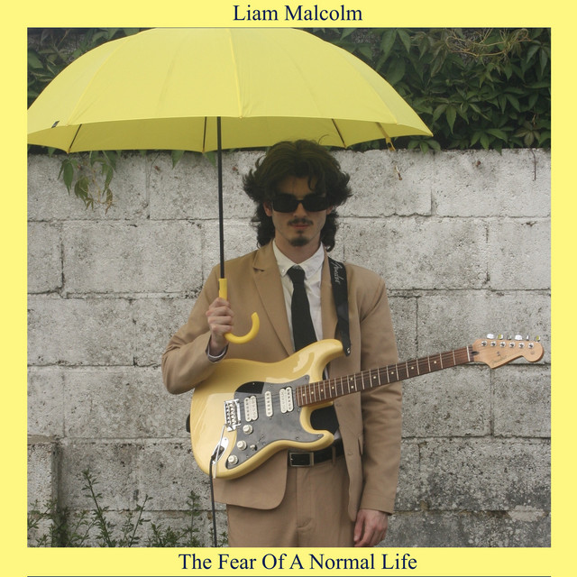 The Fear Of A Normal Life cover art