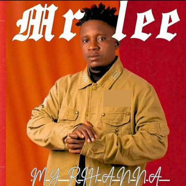 Mr Lee