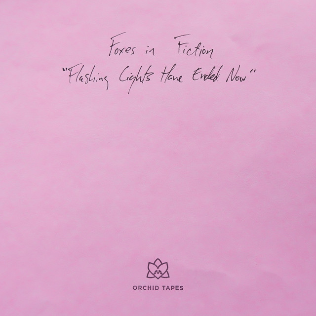 Flashing Lights Have Ended Now