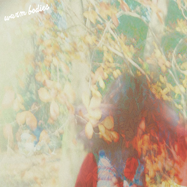 warm bodies cover art