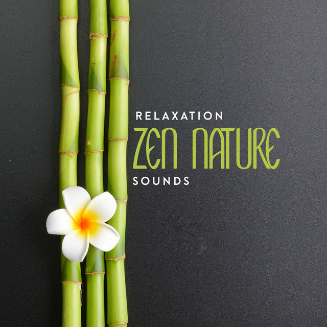 Relaxation Zen Nature Sounds - Album by Nature Sounds | Spotify