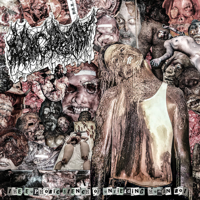 The Euphoric Stench of Unyielding Human Rot cover