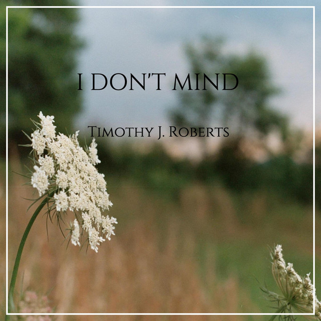 I Don't Mind cover art