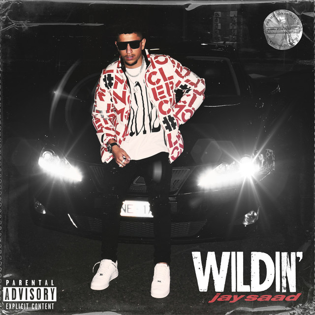 Wildin cover