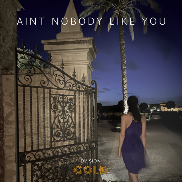 Nobody Like You – Single de Dvision Gold | Spotify