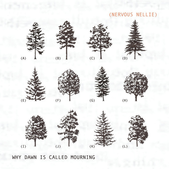 Why Dawn Is Called Mourning cover art