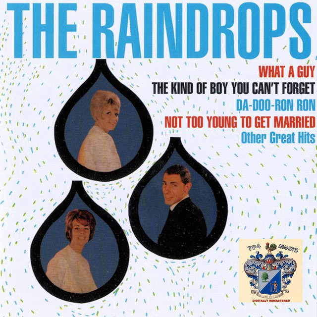 The Raindrops cover art